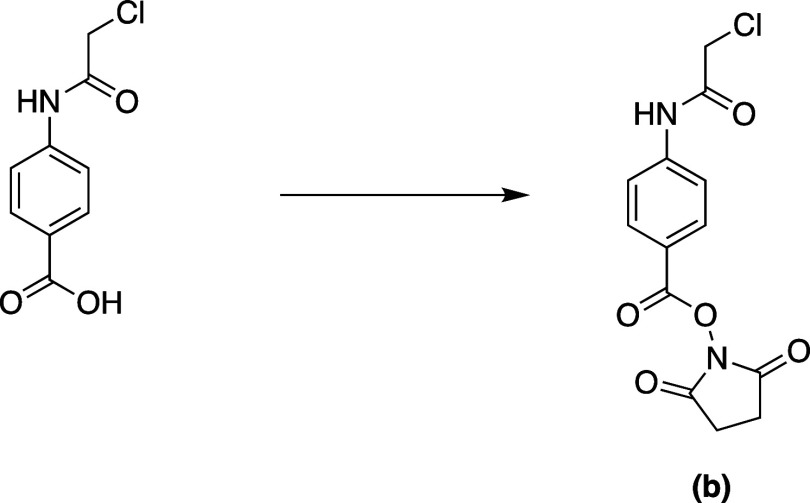Scheme 2