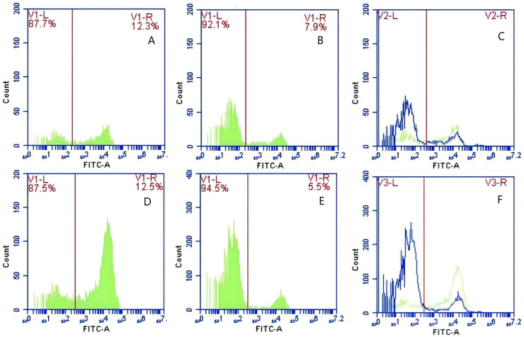 Figure 12