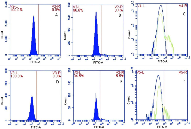 Figure 13