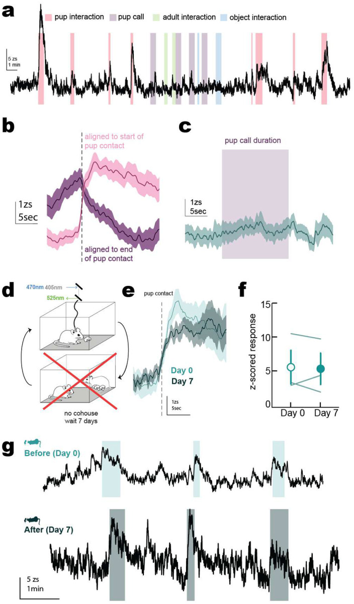 Extended Data Figure 2