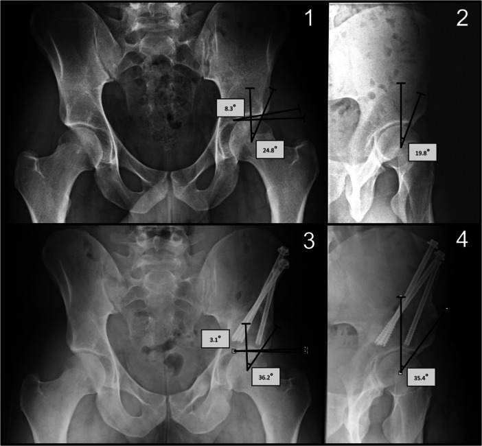 Figure 2