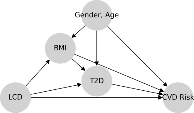 Figure 20