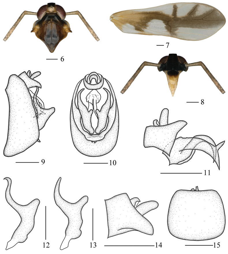 Figures 6–15