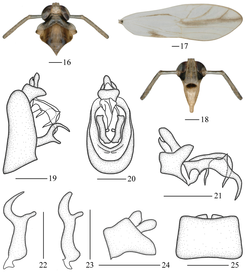 Figures 16–25