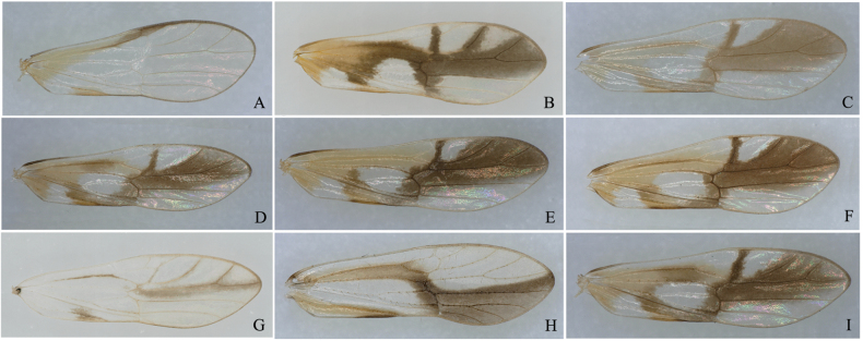 Figure 27