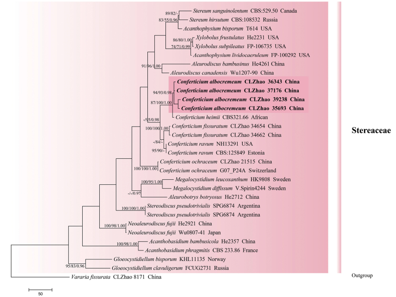 Figure 2