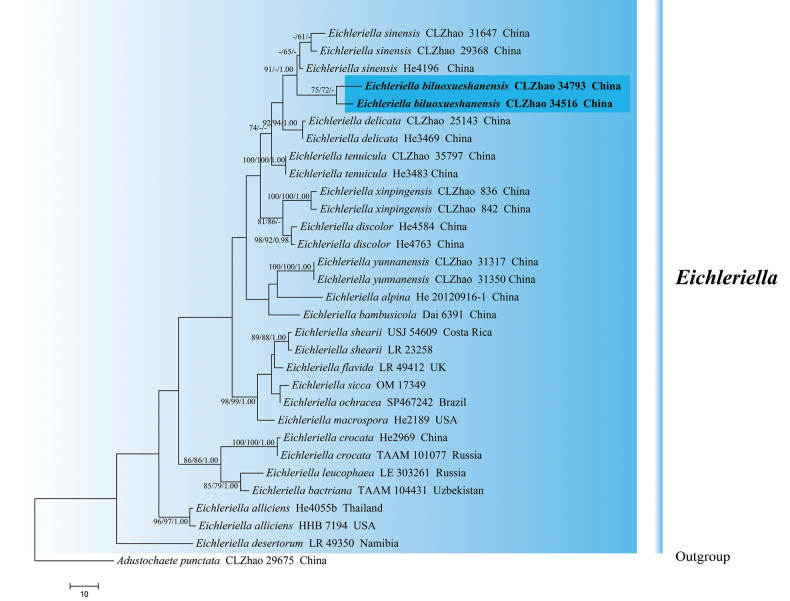 Figure 5