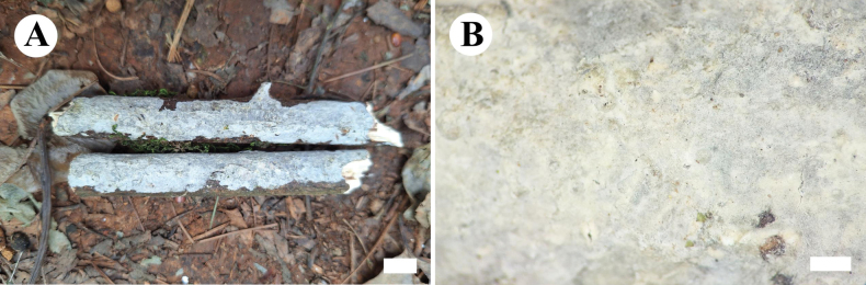 Figure 9