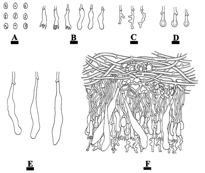 Figure 10