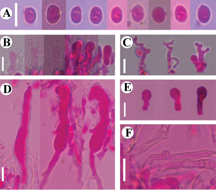 Figure 11