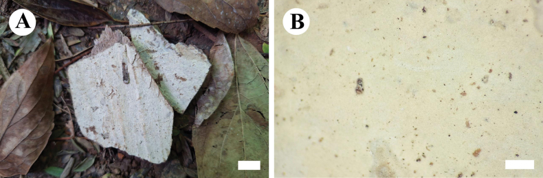 Figure 15