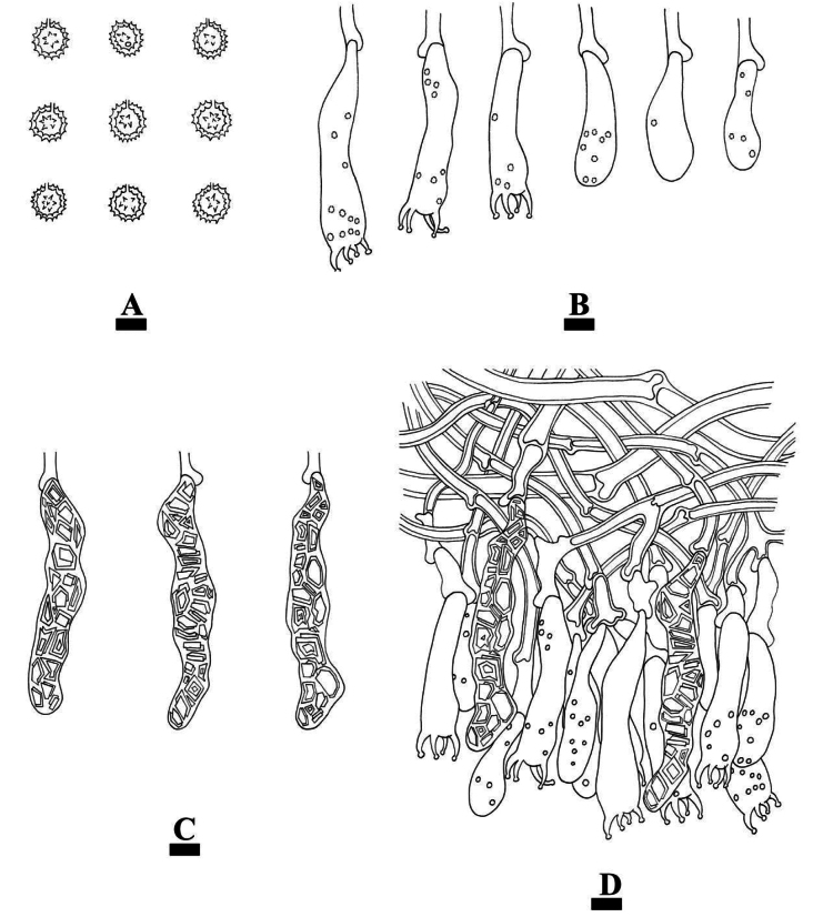Figure 16