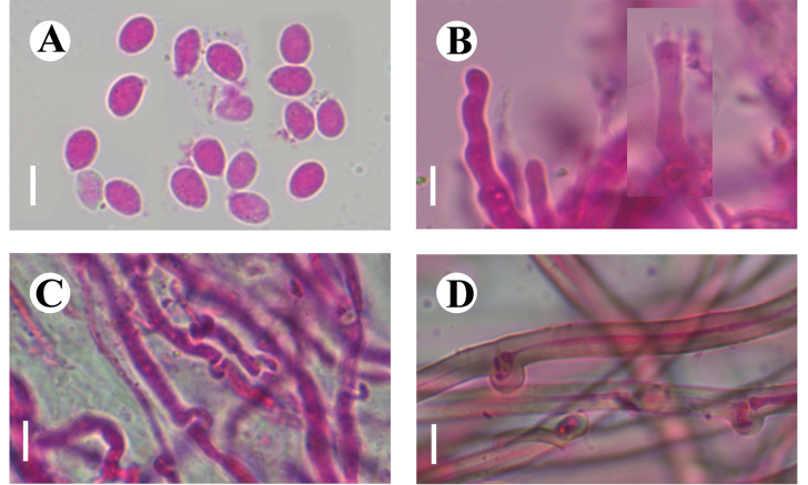 Figure 20