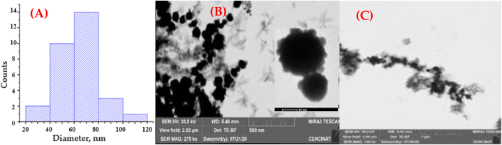 Figure 6