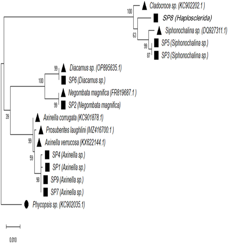 Figure 4