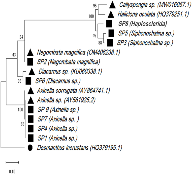 Figure 5