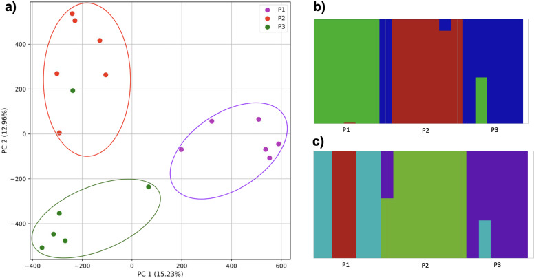 Figure 13