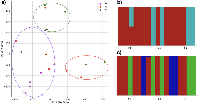 Figure 14