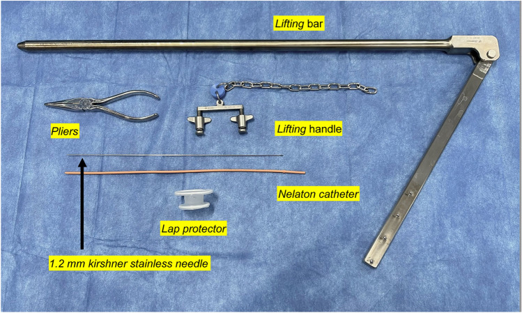 Figure 1
