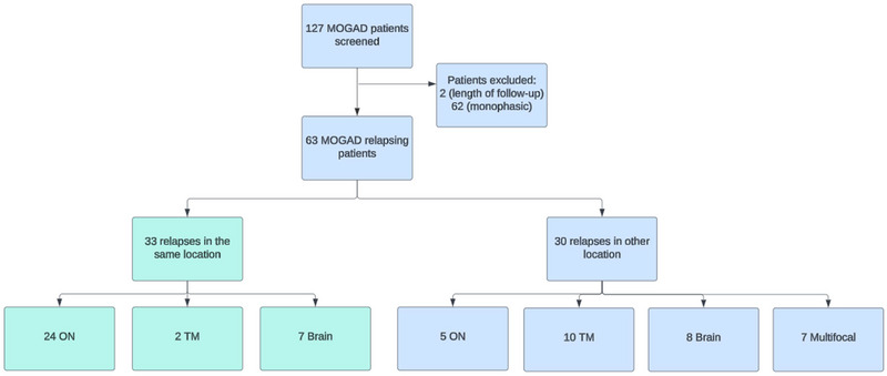 FIGURE 1