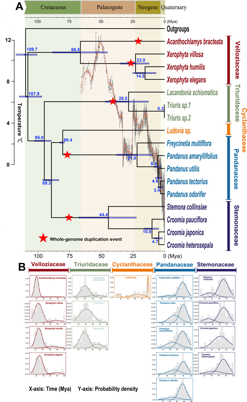 Figure 2