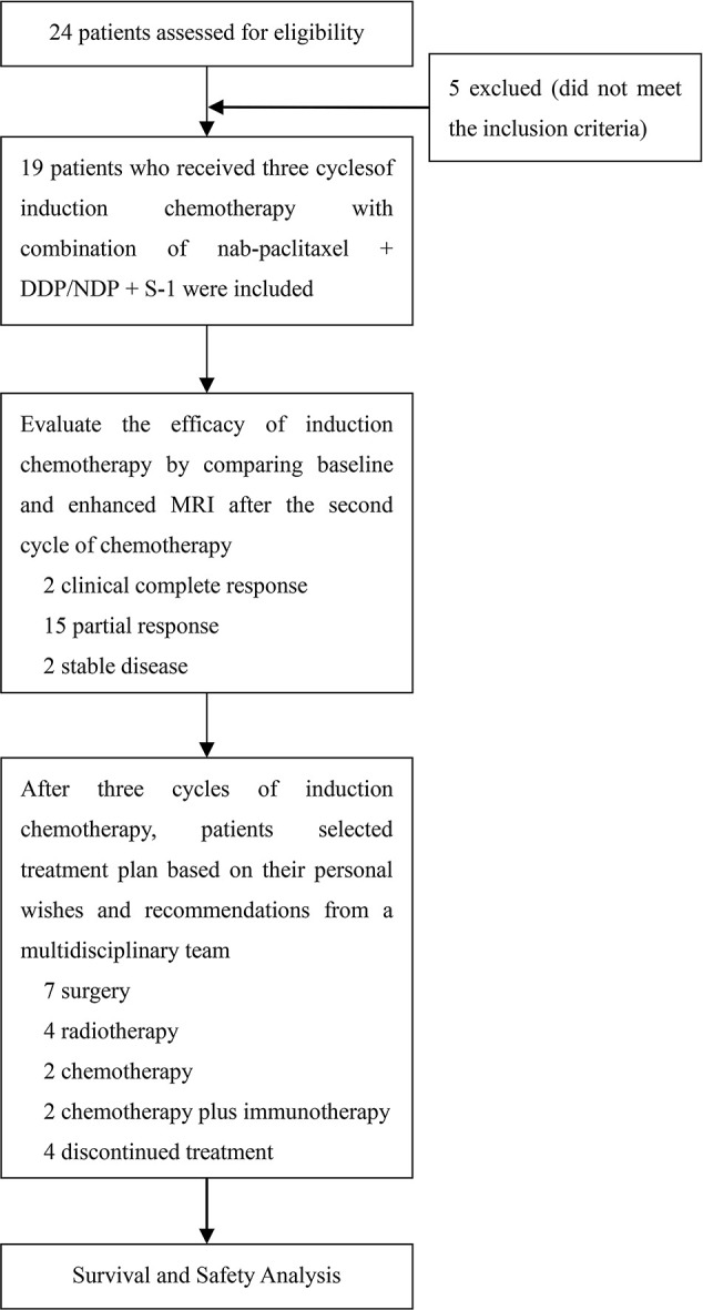 Figure 1