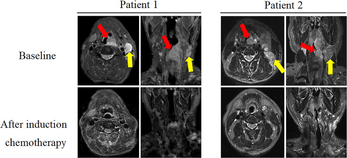 Figure 4
