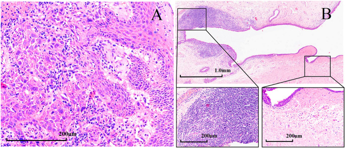 Figure 5