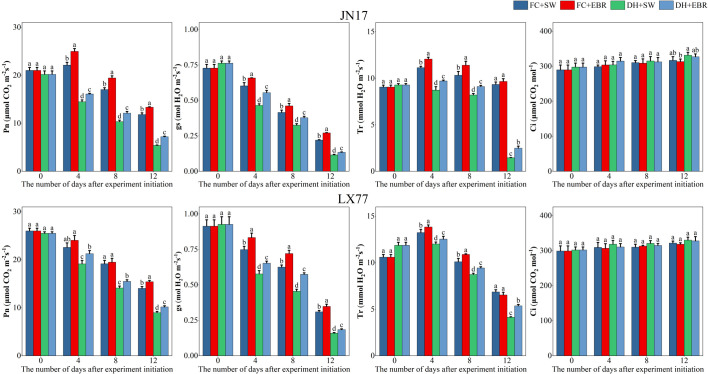 Figure 3
