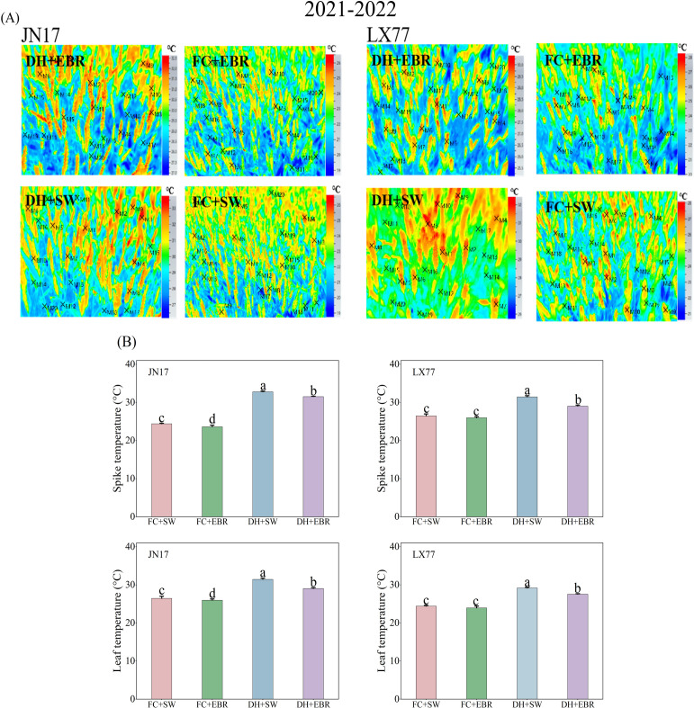 Figure 4