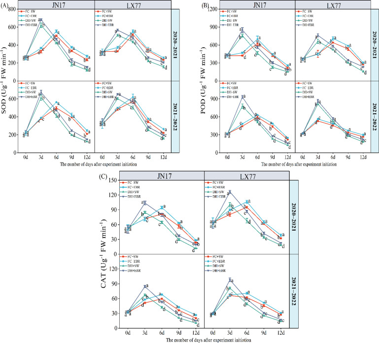 Figure 5