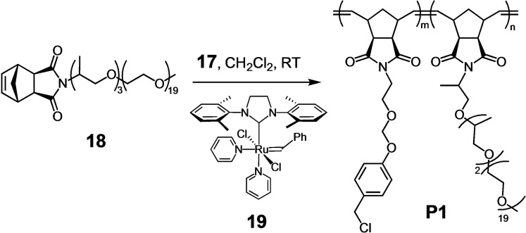 Scheme 6