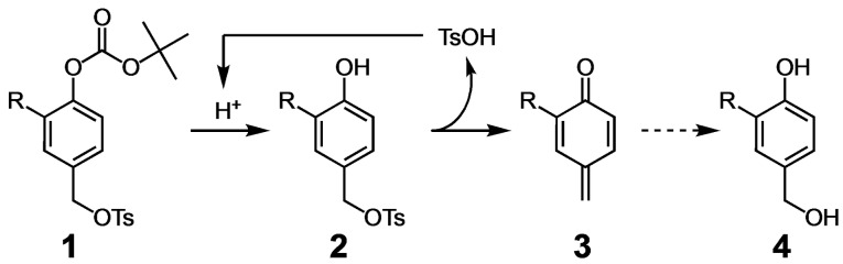 Scheme 1
