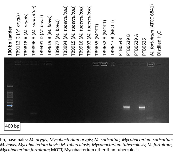 FIGURE 2