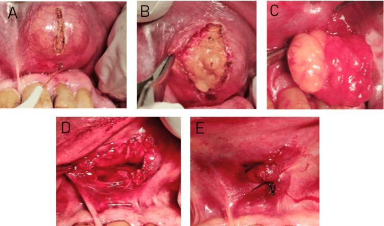 Figure 2