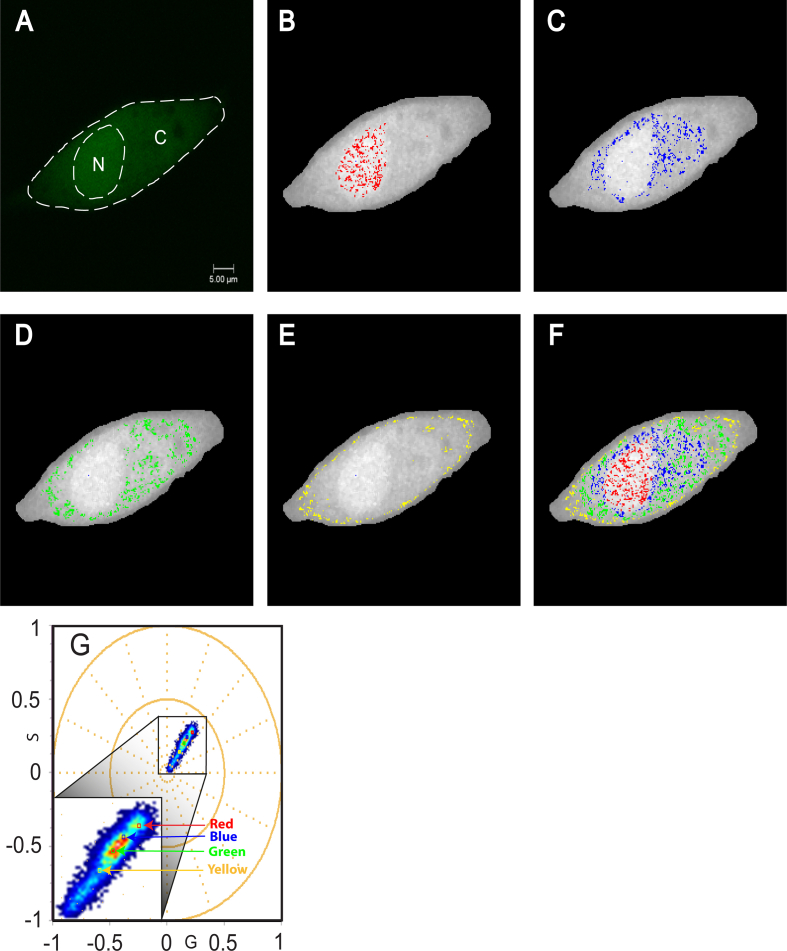 Figure 9
