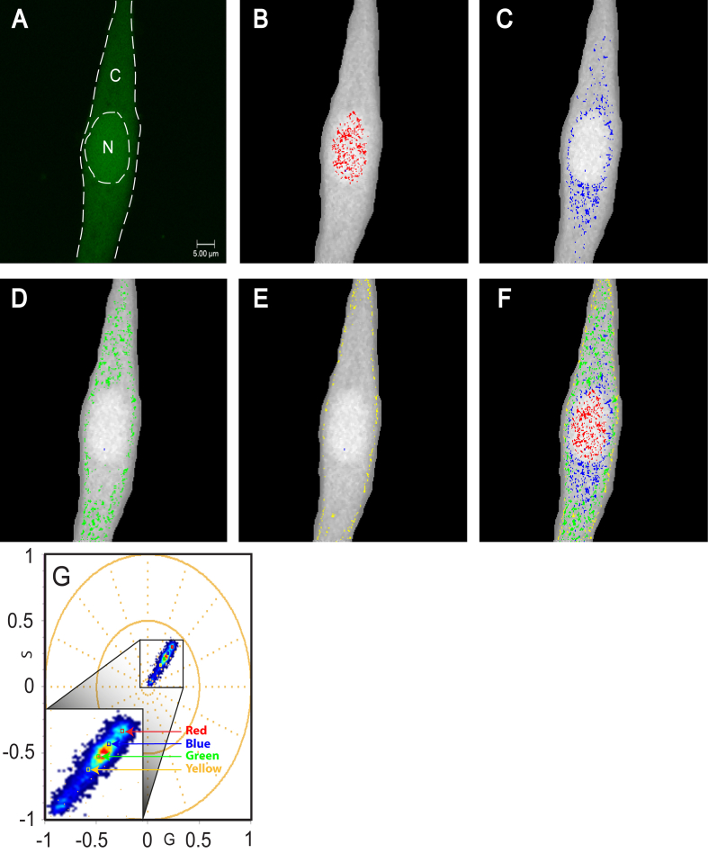 Figure 10