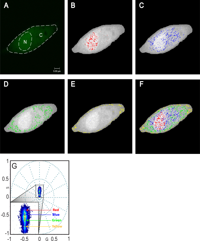 Figure 11