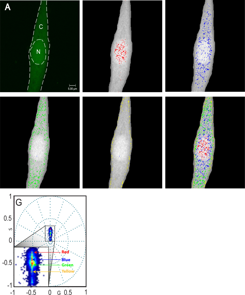 Figure 12