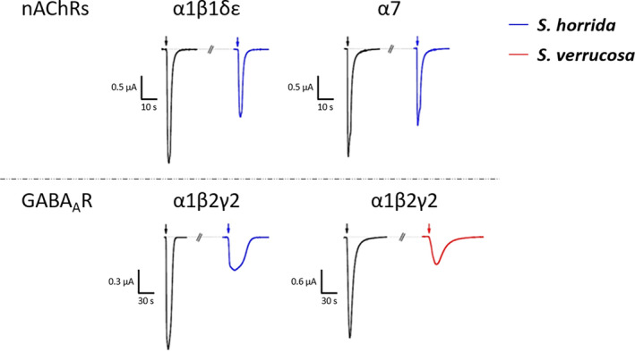 Fig. 8