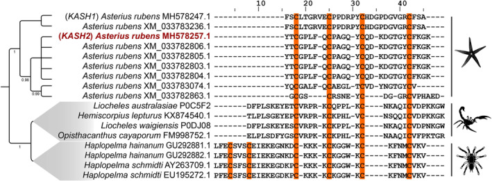 Fig. 3