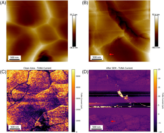 FIGURE 4