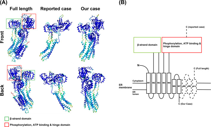 FIGURE 2