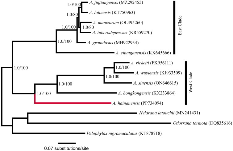 Figure 2