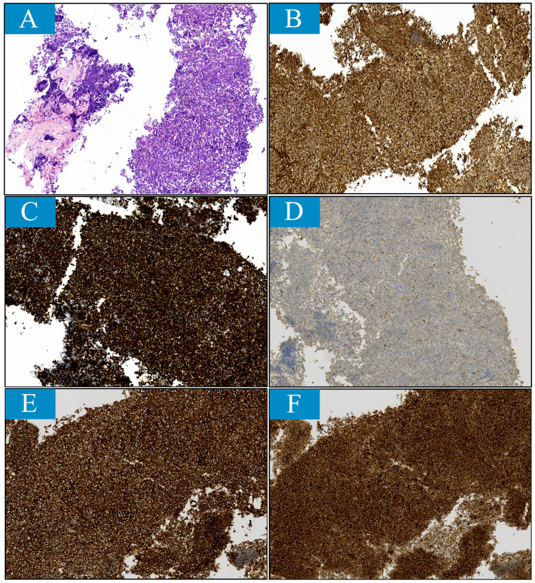 Figure 3