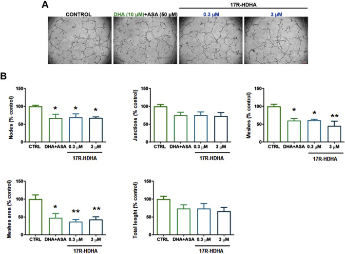 FIGURE 8
