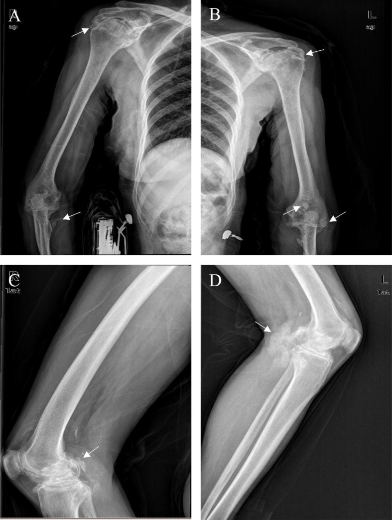 Figure 2