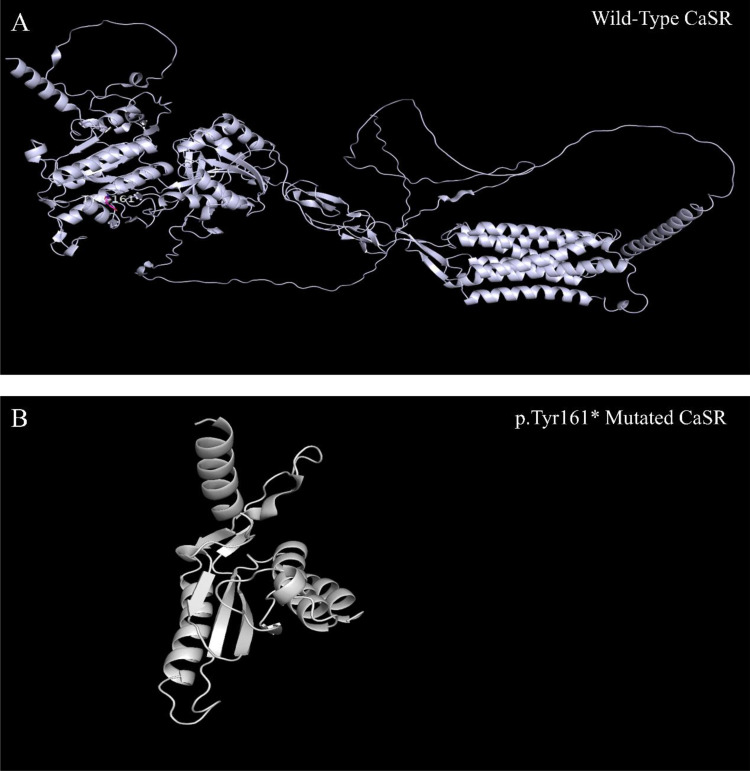 Figure 5