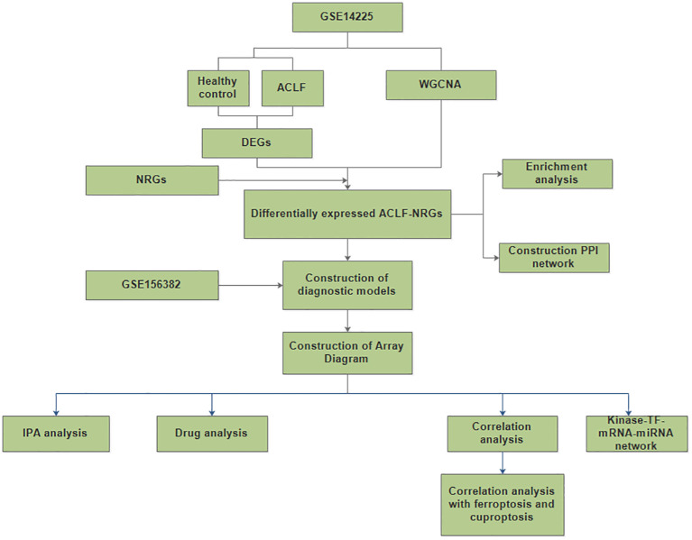 Figure 1