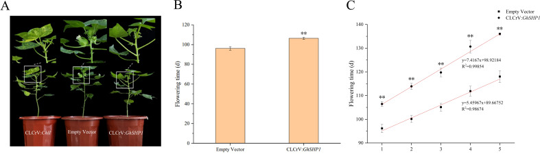 Figure 5